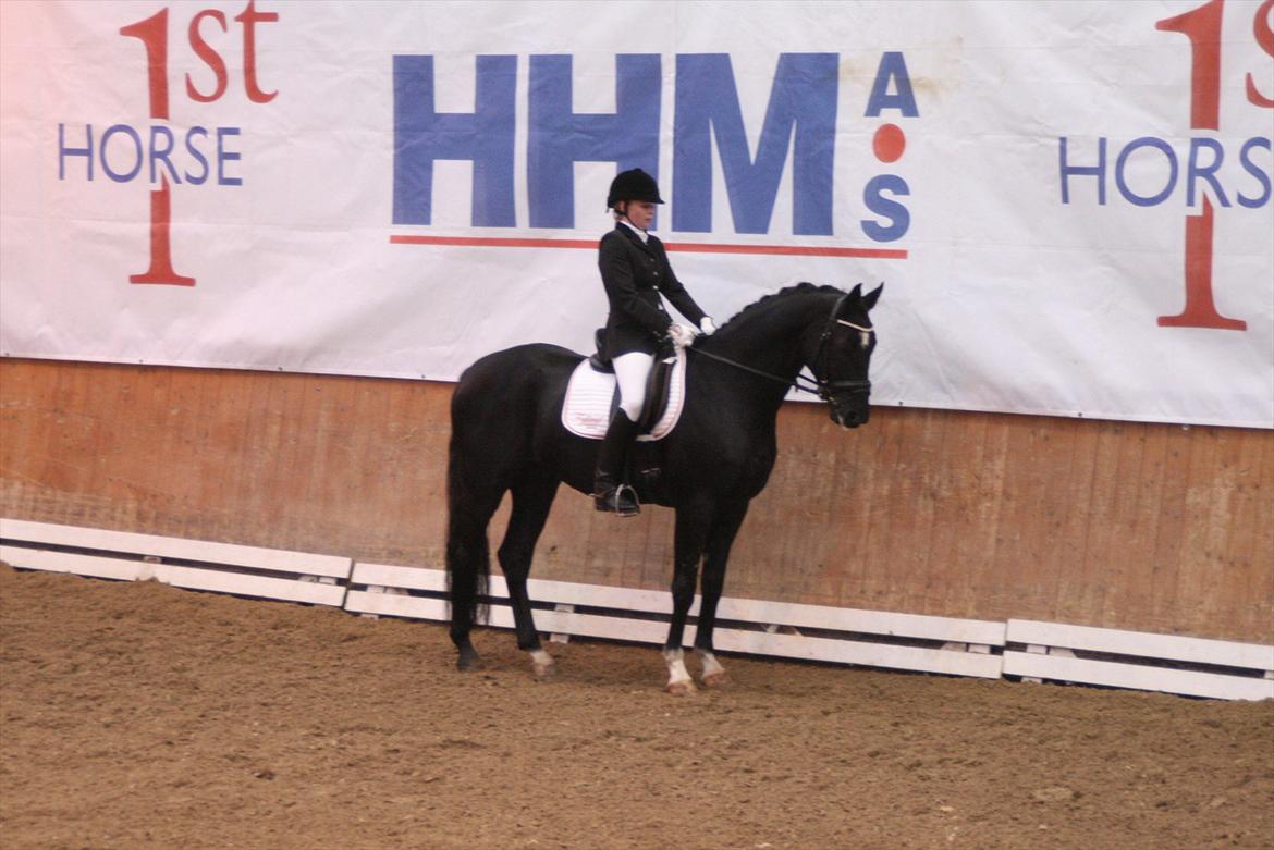 Hannoveraner Royan - Sjællandsmeserskaberne, hvor vi fik en delt 6. plads billede 14