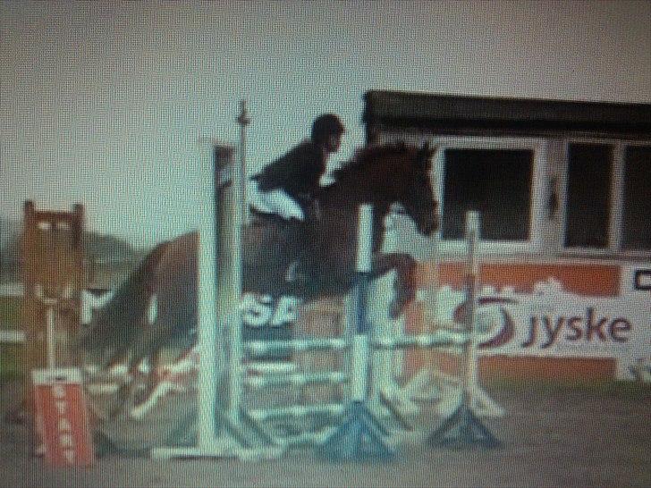 Anden særlig race Red Alert solgt billede 16