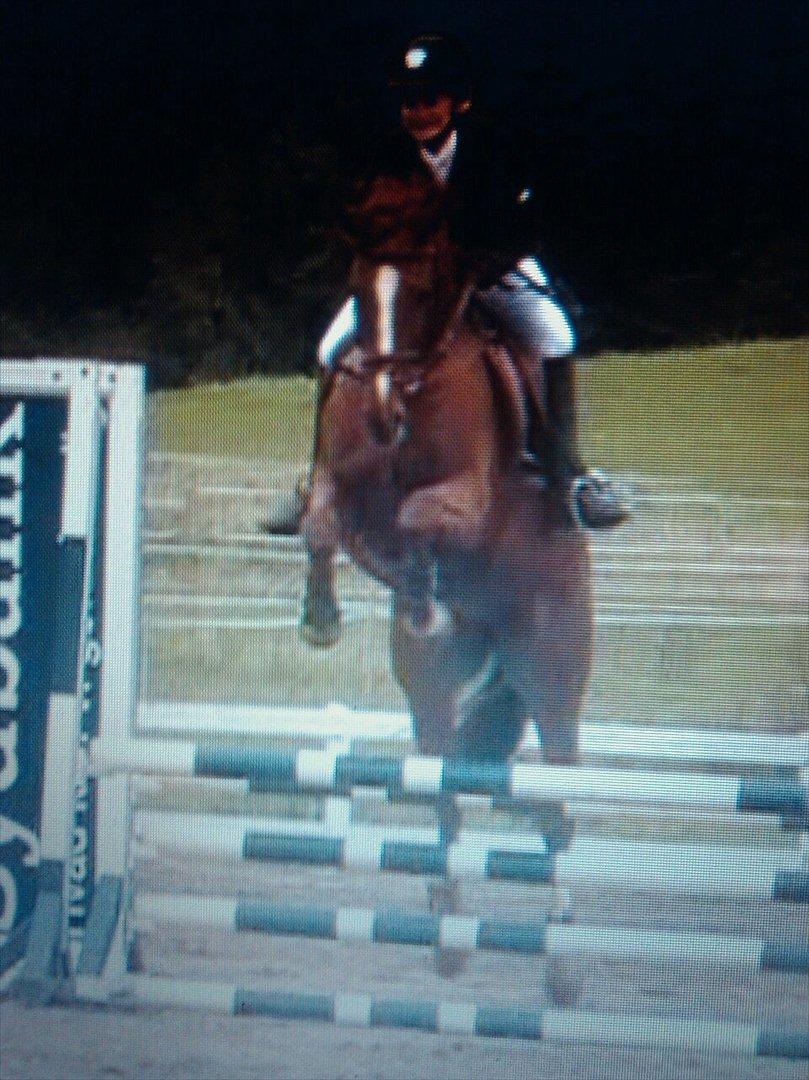 Anden særlig race Red Alert solgt billede 19