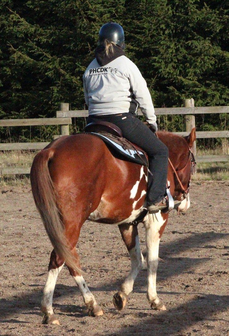 Paint CLP Sweet Little Pistol (død) billede 9