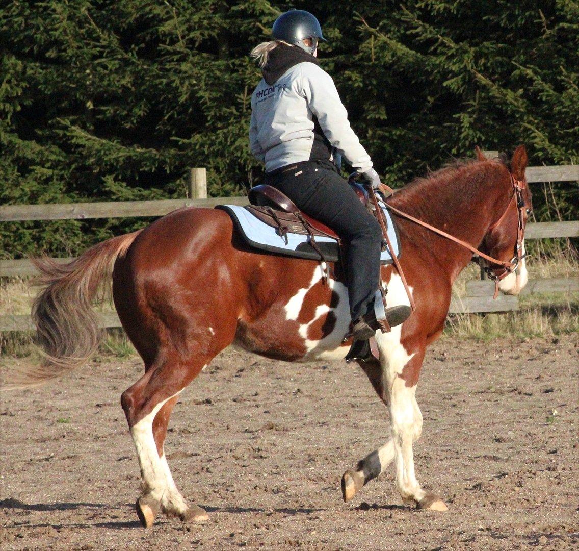 Paint CLP Sweet Little Pistol (død) billede 10