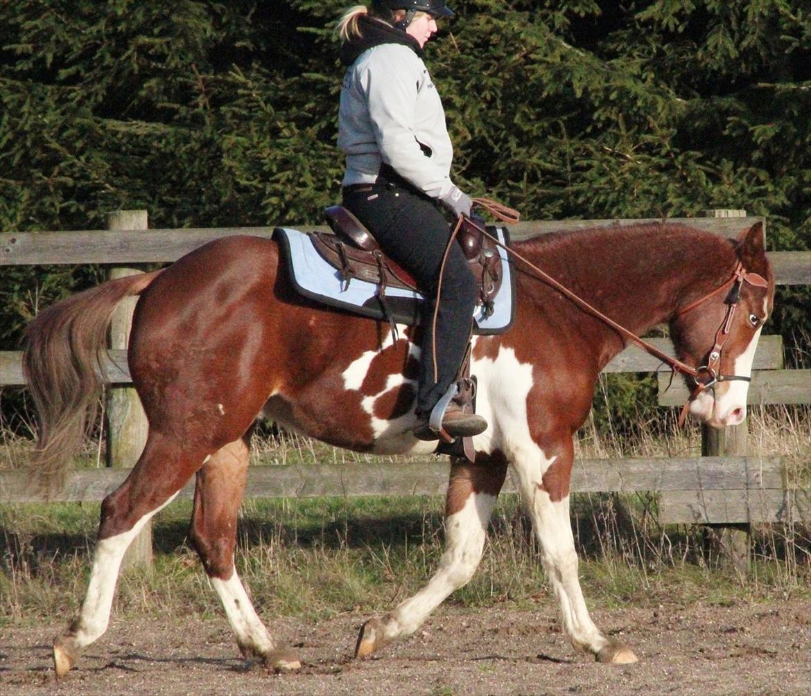 Paint CLP Sweet Little Pistol (død) billede 12