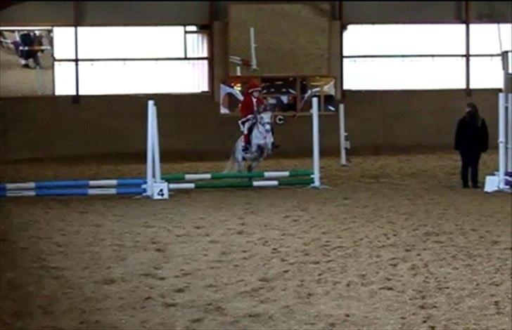 Welsh Pony (sec B) -Smilla - Første stævne jul i TNKR                 (undskyld kvalitet) billede 7