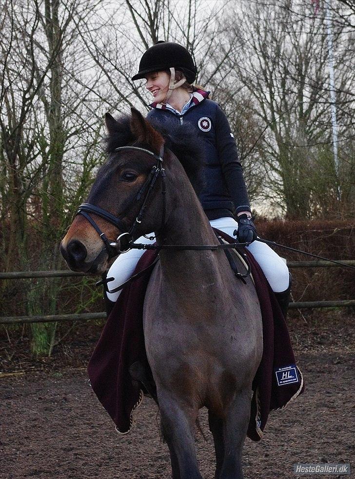 Anden særlig race Shja-shje billede 13