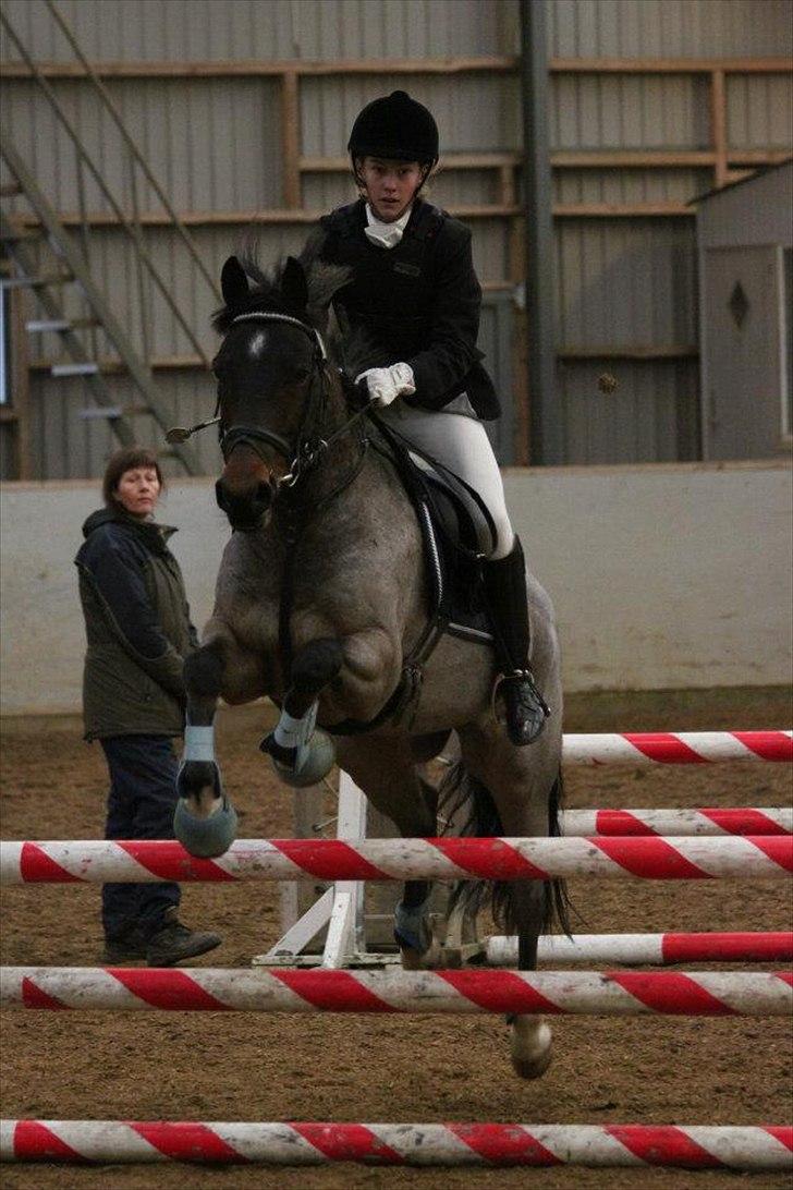 Anden særlig race Morepark Hennessy - Kombination <3 billede 2