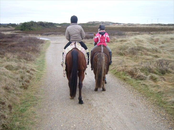 Traver Flying Corona (Fly) billede 10