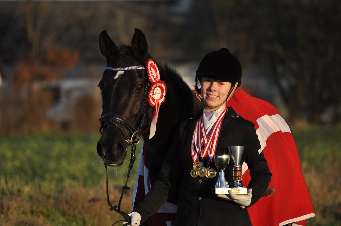 DSP Magic - 3x klubmester i spring + 1x nr. 2 i klubmester spring og 2x klubmester i dressur - 6 medaljer + 2 vandrepokaler billede 6