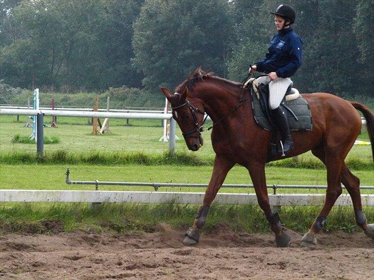 Holstener ARMANI CODE billede 9