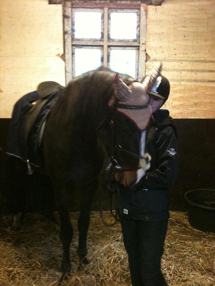 Oldenborg Rosenhavens Madok - hygge i stalden ;)  billede 7