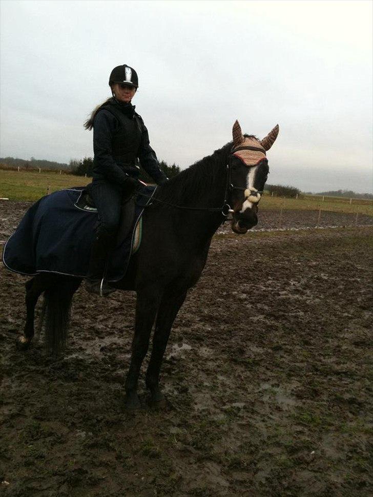 Oldenborg Rosenhavens Madok billede 8