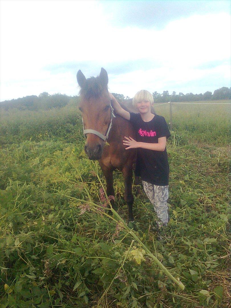 Anden særlig race Ladie billede 1