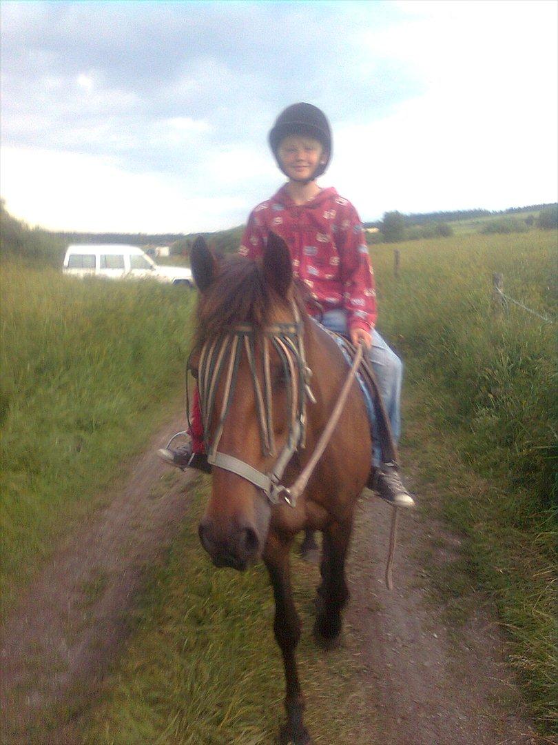 Anden særlig race Ladie billede 3