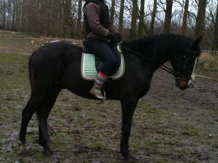 Oldenborg Rosenhavens Madok - super fin parade! ;) hehe..  billede 15