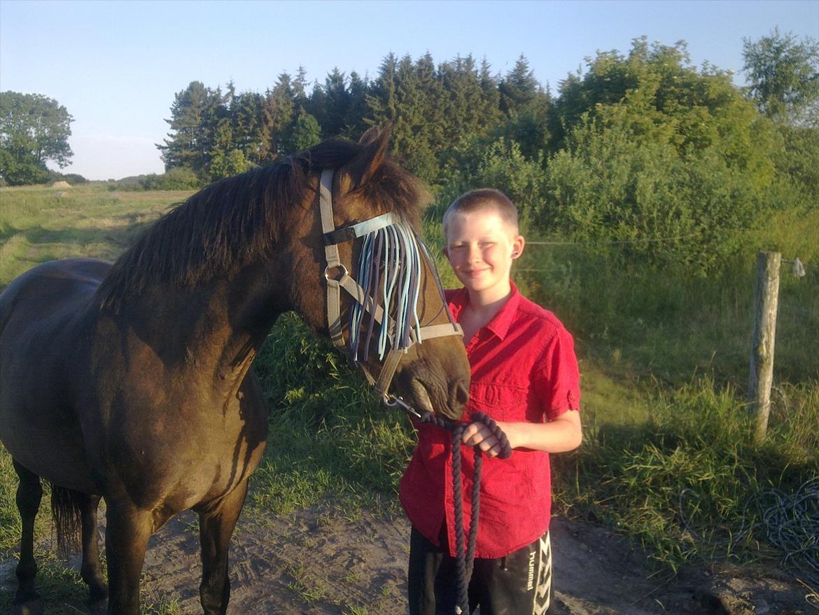 Anden særlig race Ladie billede 5