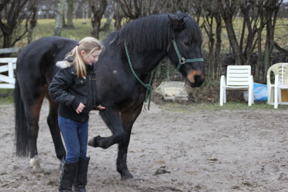 Anden særlig race Krumme *Part* billede 7