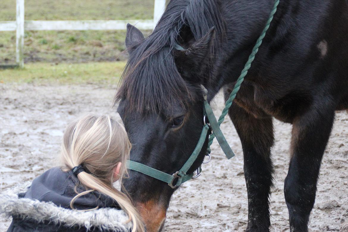 Anden særlig race Krumme *Part* billede 8