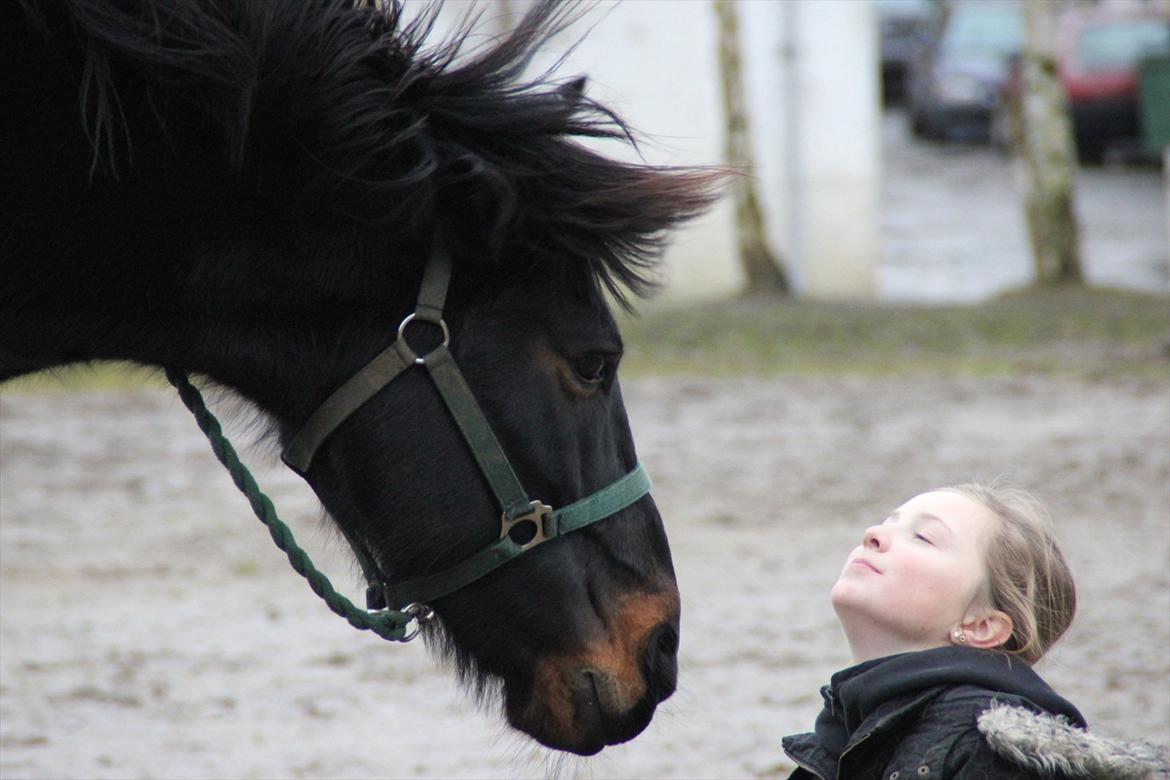 Anden særlig race Krumme *Part* billede 10