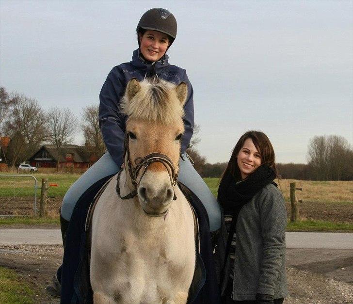 Fjordhest Asterix - Posér :)
Vildt sødt billede! <3 billede 19