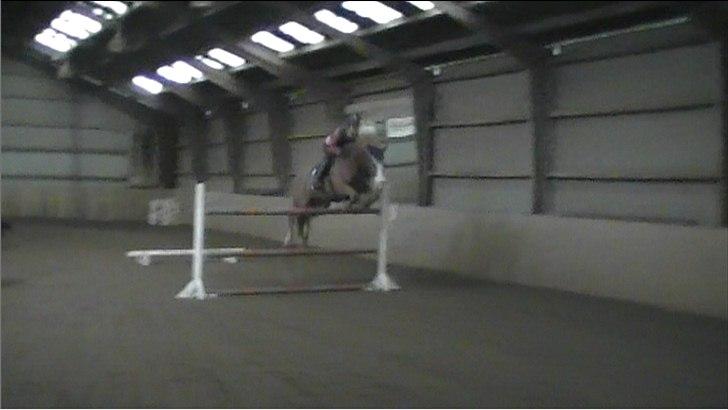 Frederiksborg Burgdorff Gucci <3 - Min stjerne ! <3 Her i flyvende fejlfri stil over ca. 140 cm :') billede 17