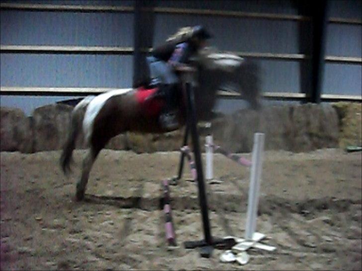 Pinto Søholt's Teepee"Goodbye my savior" billede 6