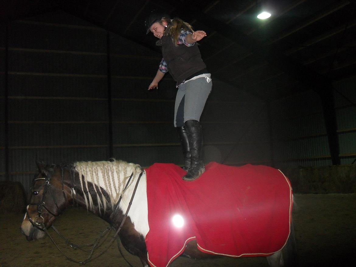 Pinto Søholt's Teepee"Goodbye my savior" billede 16