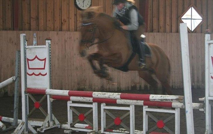 Anden særlig race Barcardi - Springtræning v Benny Hansen 2012 billede 17