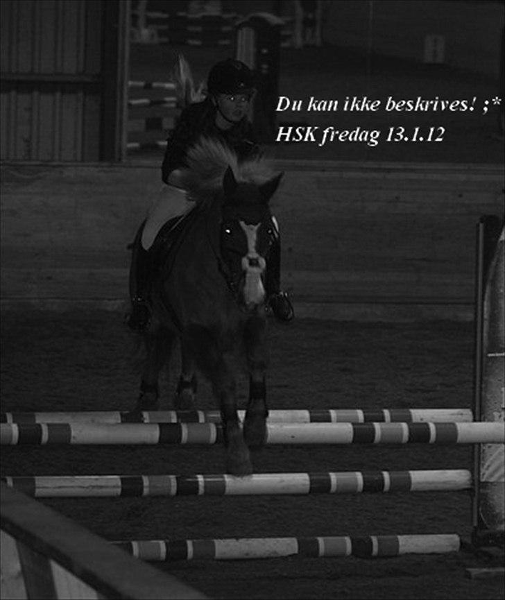 New Forest Sun Fire l Soulmate l - Fredag d. 13.1.12 80 cm. HSK :D 
- du kan ikke beskrives ;* 
- CA foto billede 15