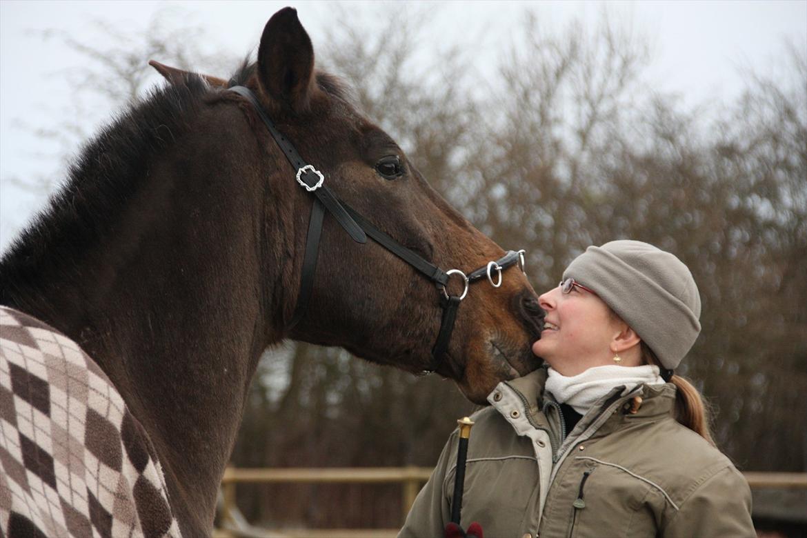 Anden særlig race Tchad the Spot (Død 2012) - Vintertid. Dec. 2011. billede 14