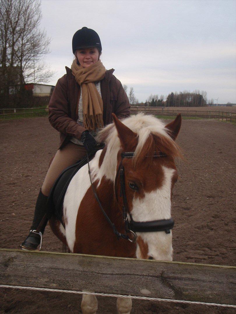 Anden særlig race Wotan - Wotan og jeg på ridebanen. billede 15