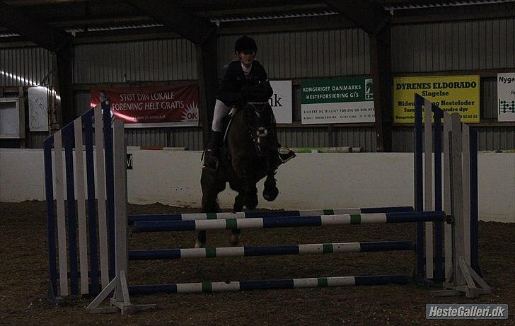 Irsk Sportspony Midnight Exspress - VRCL d.14/1 2012. Taget af Bolette Hornby ;-) billede 16