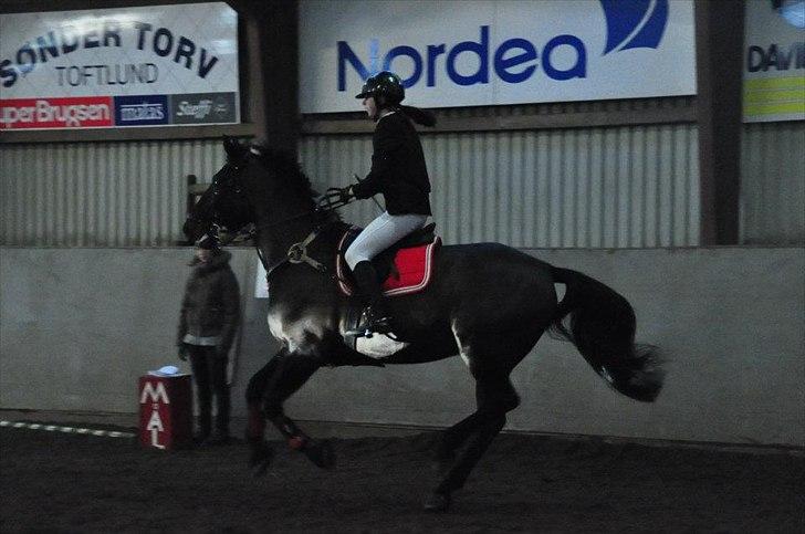 Oldenborg Urbin Adoa - taget af Sanne Schmatz billede 7