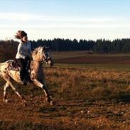 Appaloosa Fleur