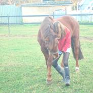 DSP Riishøjgaards Victor