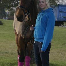 Dansk Varmblod Grankærs Come On ''PRINSESSEN''<3