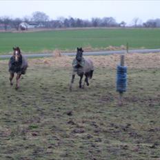 Anden særlig race Lucky - Part R.I.P