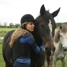 Anden særlig race Aavang's Lucas