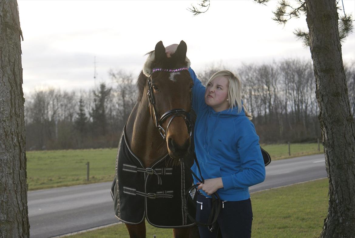 Dansk Varmblod Grankærs Come On ''PRINSESSEN''<3 - Vi to vi har det sjovt sammen minprinsesse;*<3 billede 16