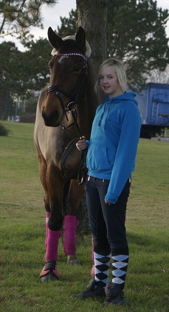 Dansk Varmblod Grankærs Come On ''PRINSESSEN''<3 - Velkommen til prinsessens profil;)<3
-Jeg elsker dig smukke du drømmen;*<3 billede 1