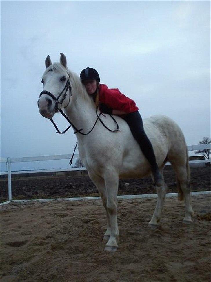 Anden særlig race • William billede 1