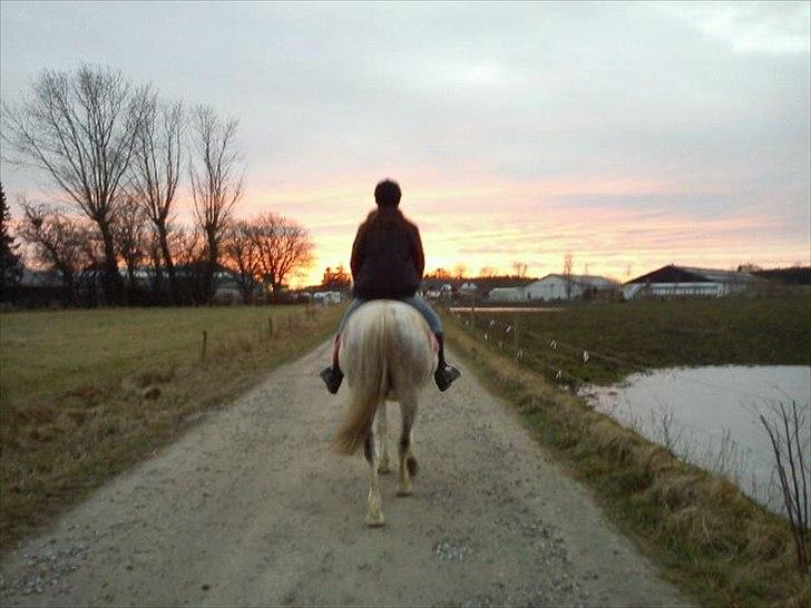 Anden særlig race • William billede 11