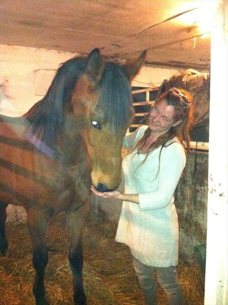 Traver Gunnison SOLGT! - Gunnie & Mutti<3 billede 10