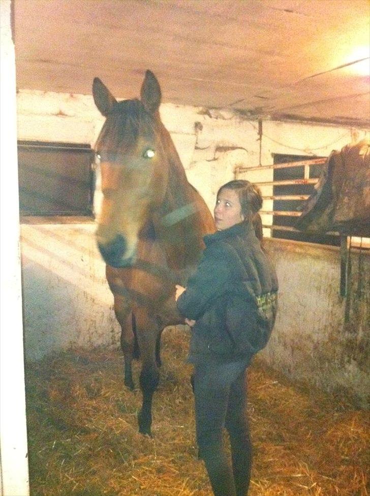 Traver Gunnison SOLGT! - Gunnie & Jeg <3.  billede 12