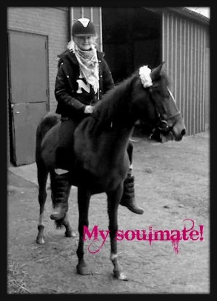 DSP •º°°•Misty•°°º•  ~My soulmate~ <3 - Jeg lover dig jeg altid ville være din! <3 31/12-11 billede 6