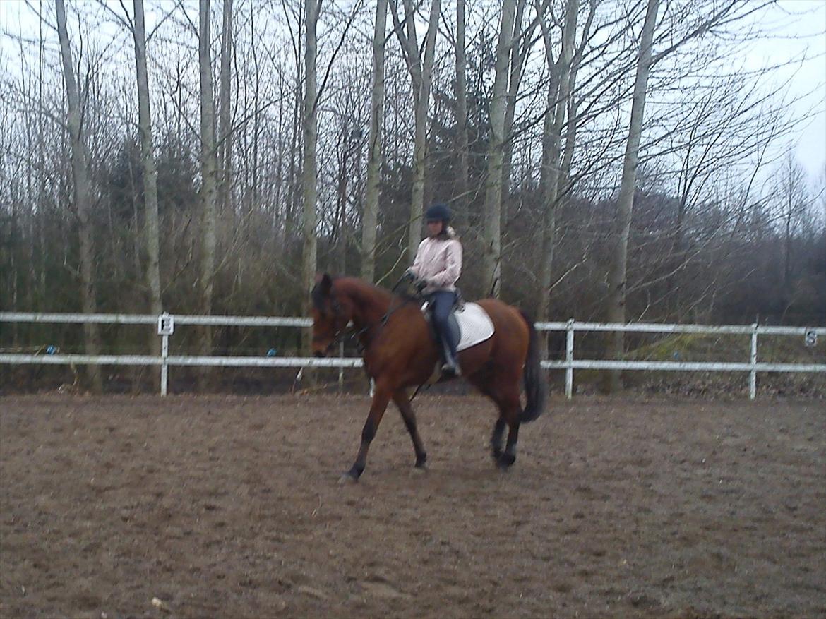 Traver Gunnison SOLGT! billede 14