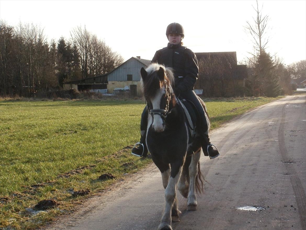 Barockpinto Chess Stensbæk billede 8