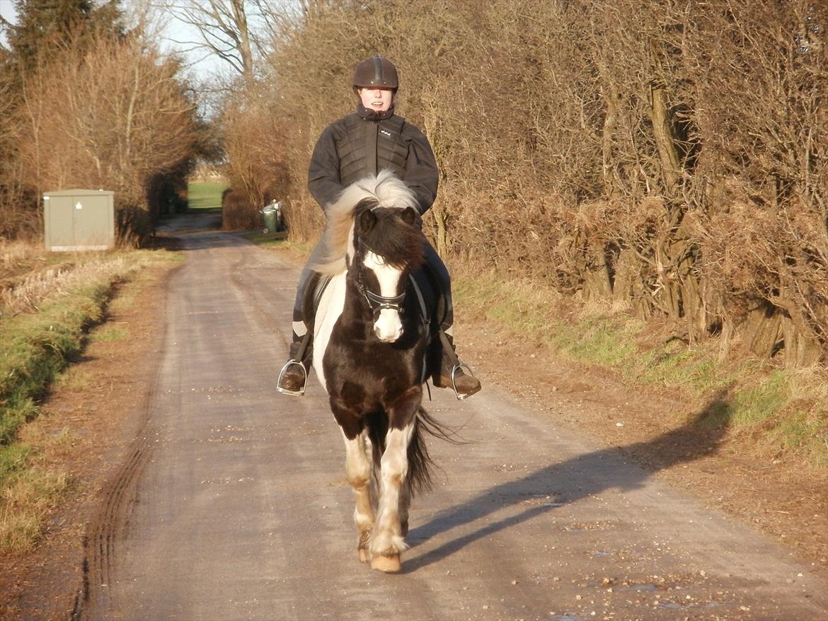 Barockpinto Chess Stensbæk billede 12