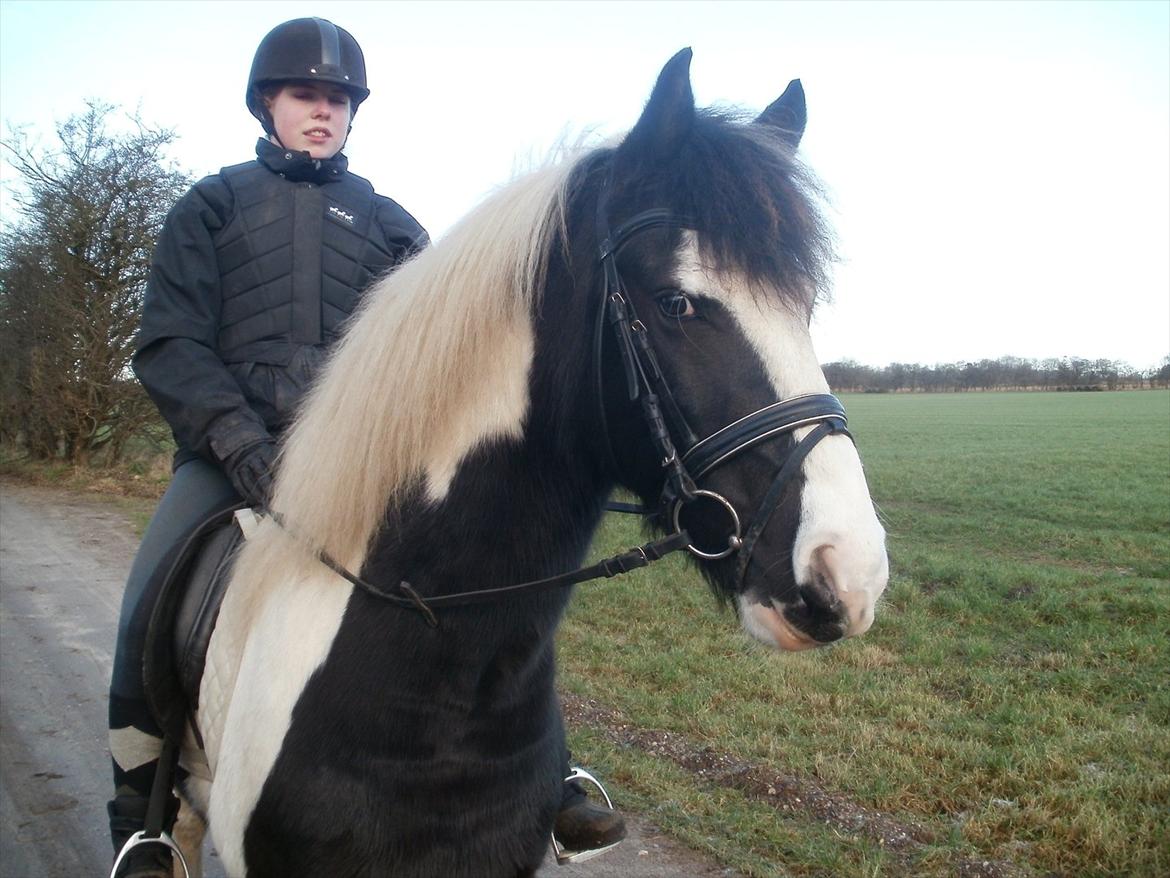 Barockpinto Chess Stensbæk billede 7