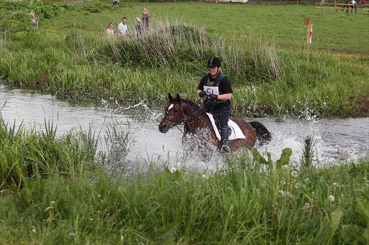 Hannoveraner Lassie - Næsten ovre,næste gang skal vi have svømmevingerne med :) billede 4