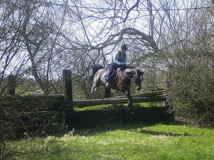 Hannoveraner Lassie - Banketten i Næstved. billede 7