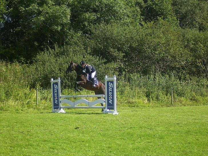 Hannoveraner Lassie - Vi er kommet for langt ind under springet ved afsættet, men den klarer Lassie, "slip tøjlerne og lad mig klare ærterne" er hendes motto. billede 10
